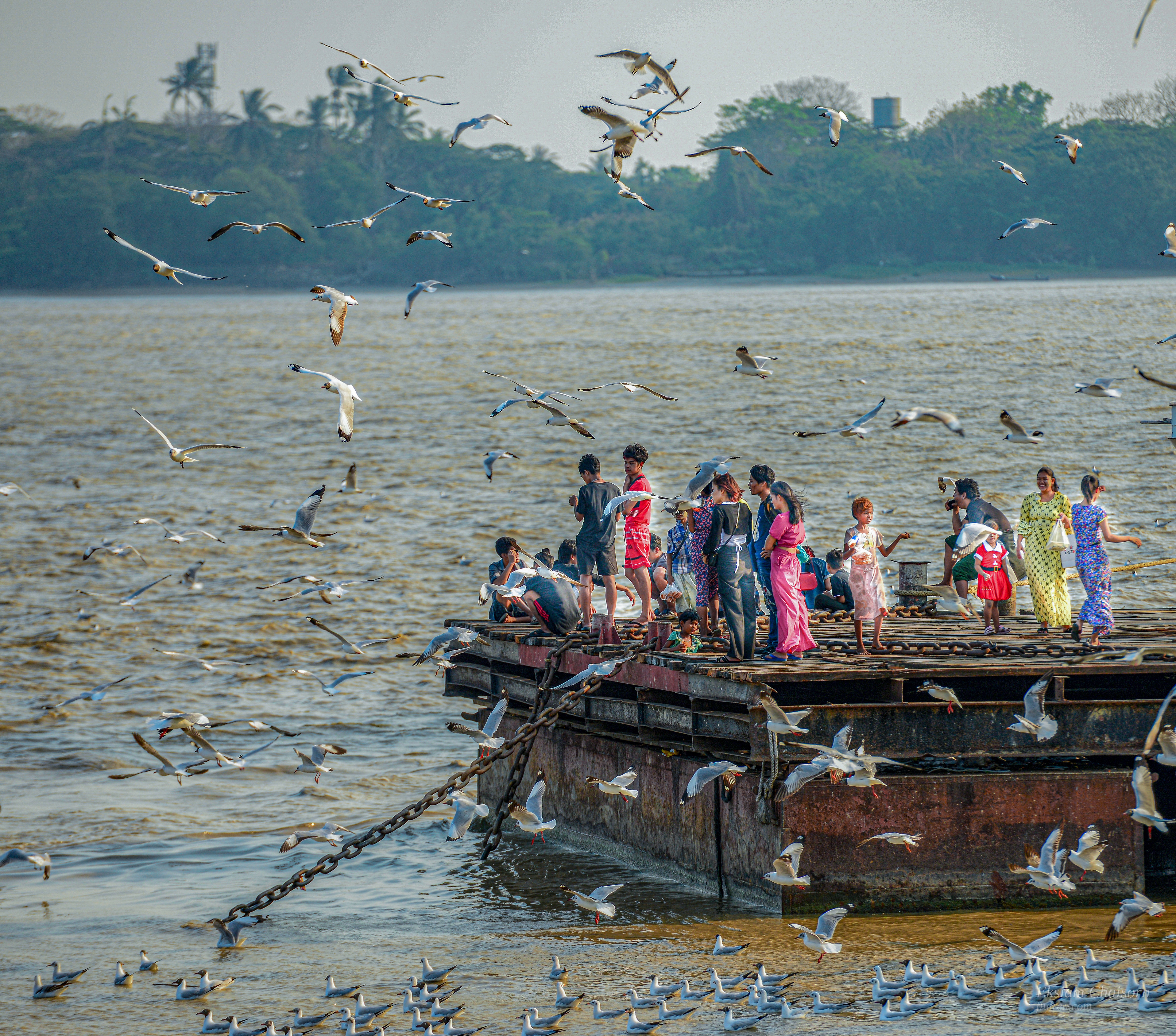Seagulls on the Yangon River · Eksiam Chaisorn